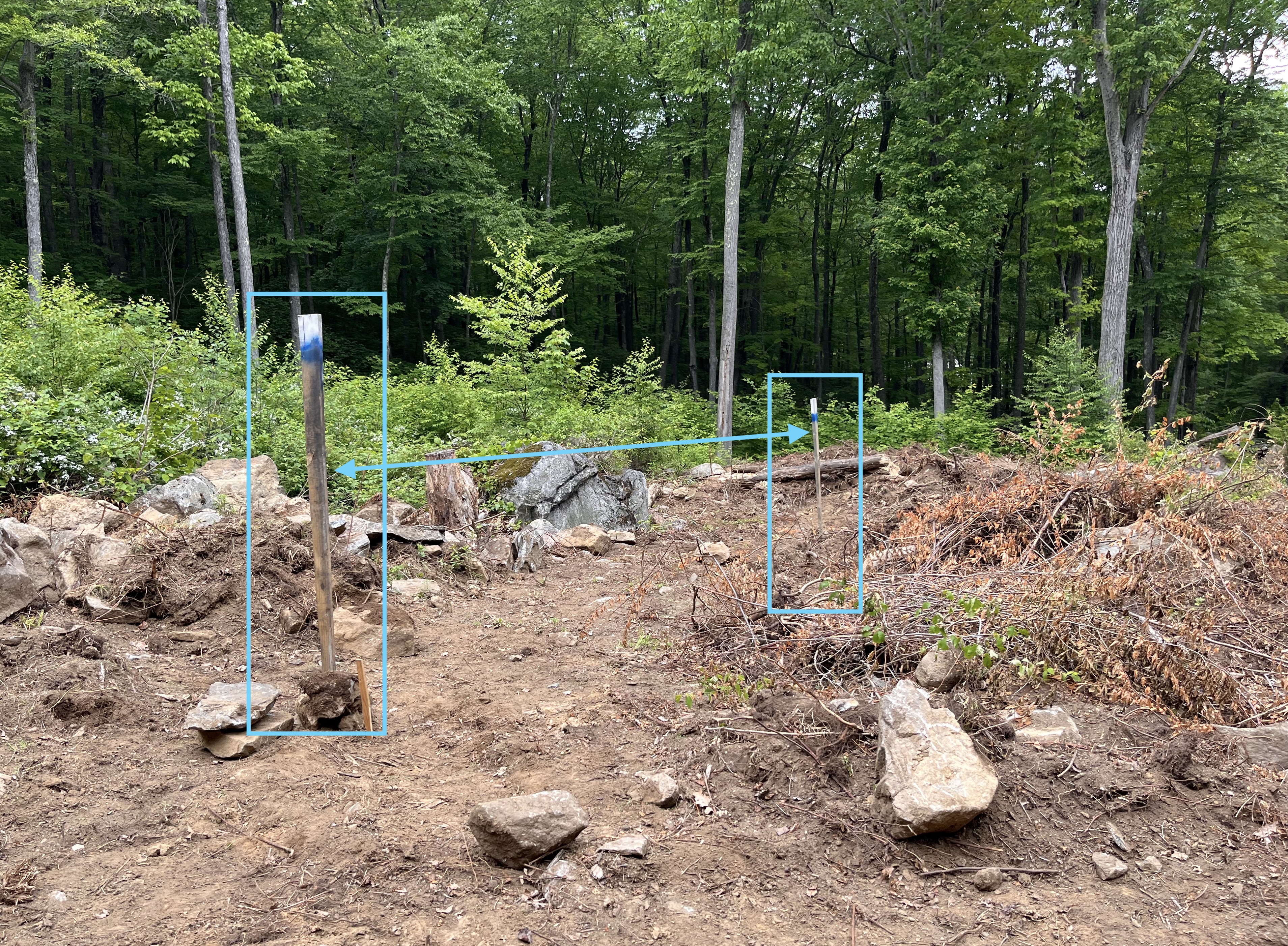 some tall posts we added